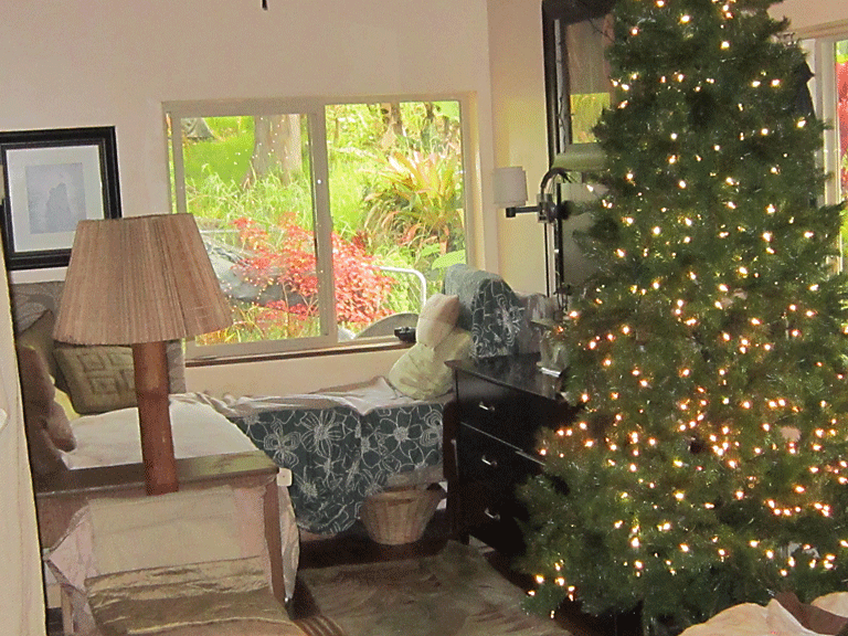 living room with xmas tree 