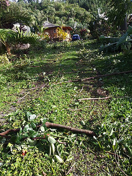 wind damage on Maui Feb 2019 