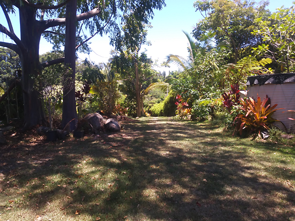 DIY deck building in Hawaii