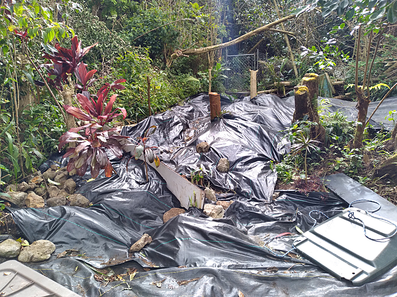 black weed cloth and tree trunks