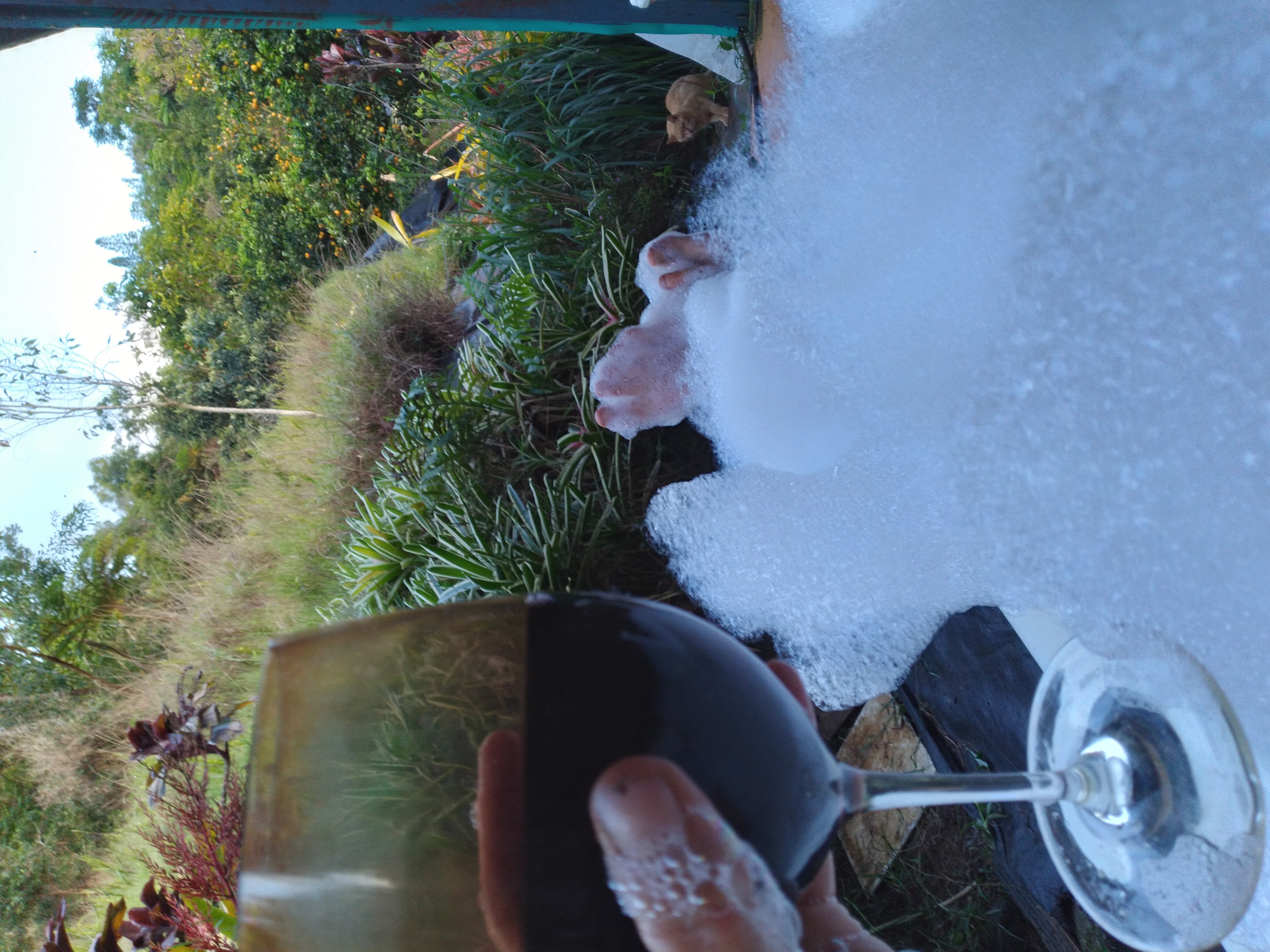 bathtub full of bubbles with hand holding red wine glass green trees in distance