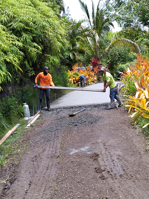 dirt driveway getting laid with concrete trees around and men working