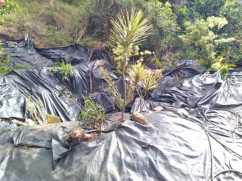 black weed cloth and tree trunks