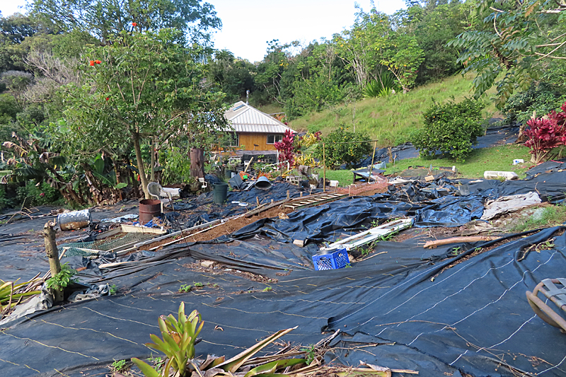 black weed cloth with green trees and bamboo home in distance