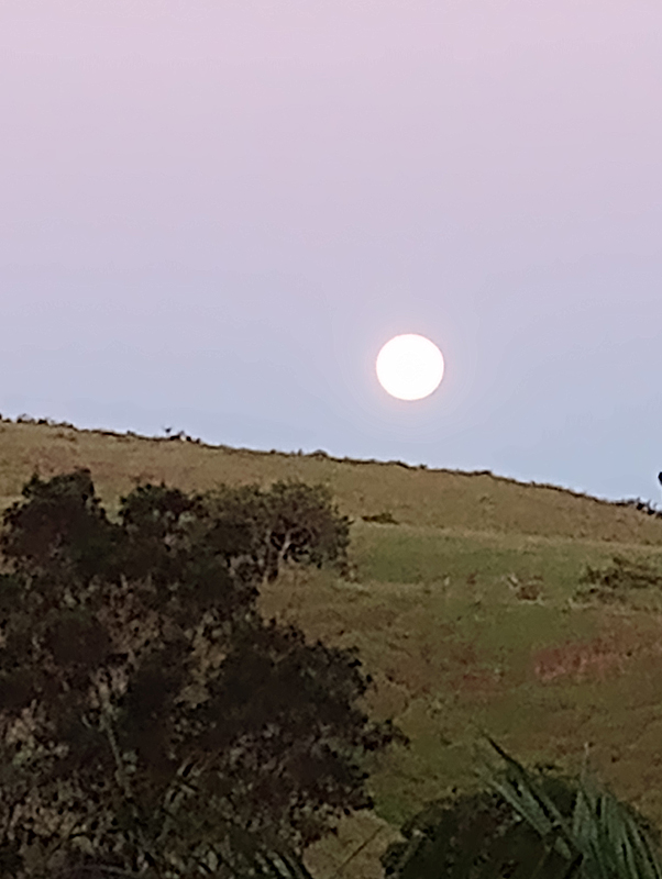 white sun in pink sky over green hill