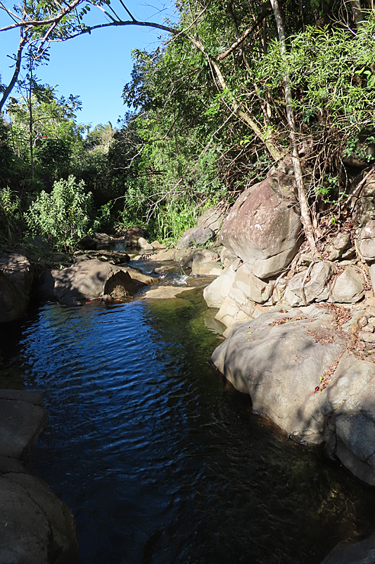 swimming hole with boulders and green trees on side