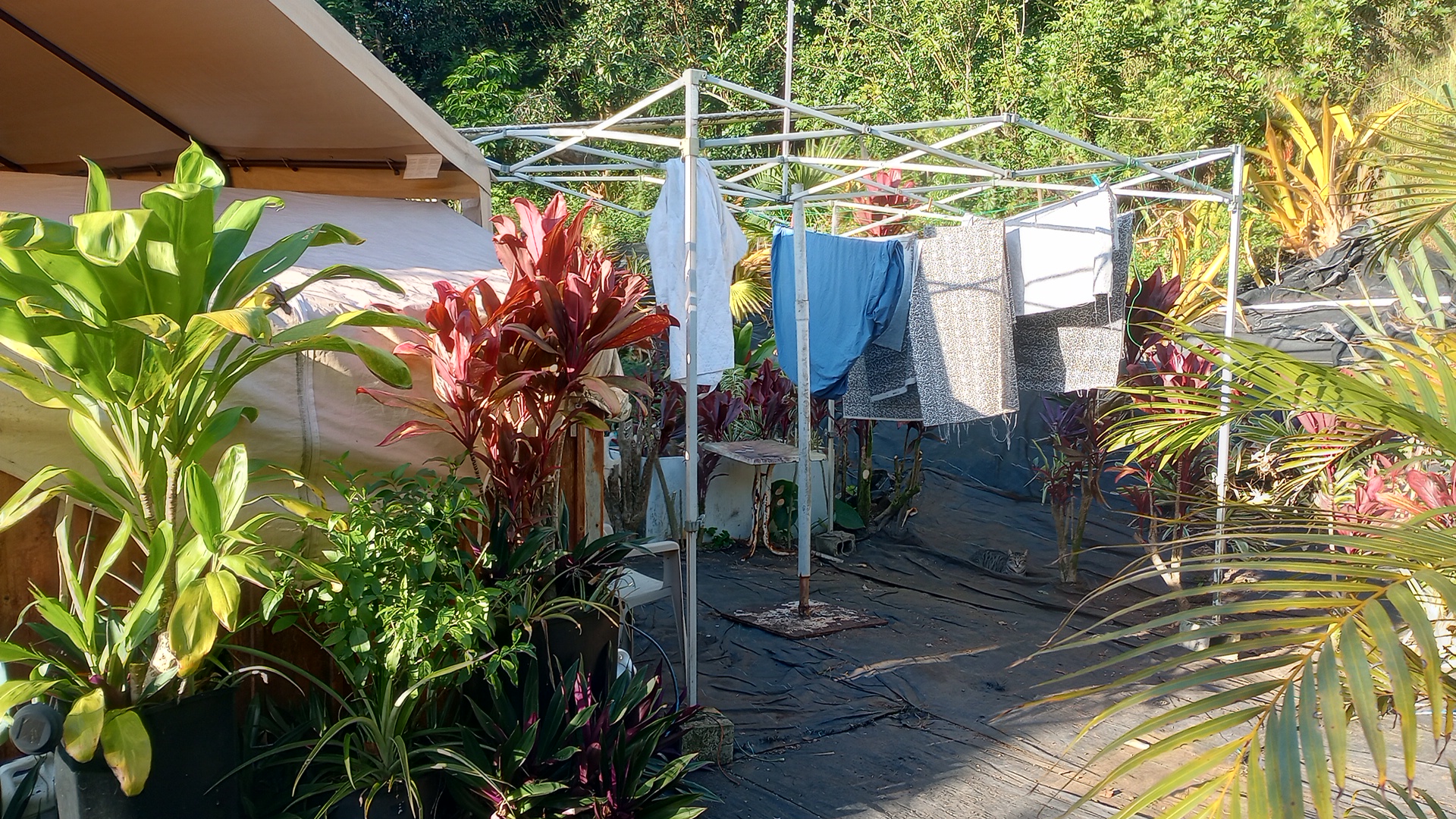 clothesline made from old tent, with sheets on it