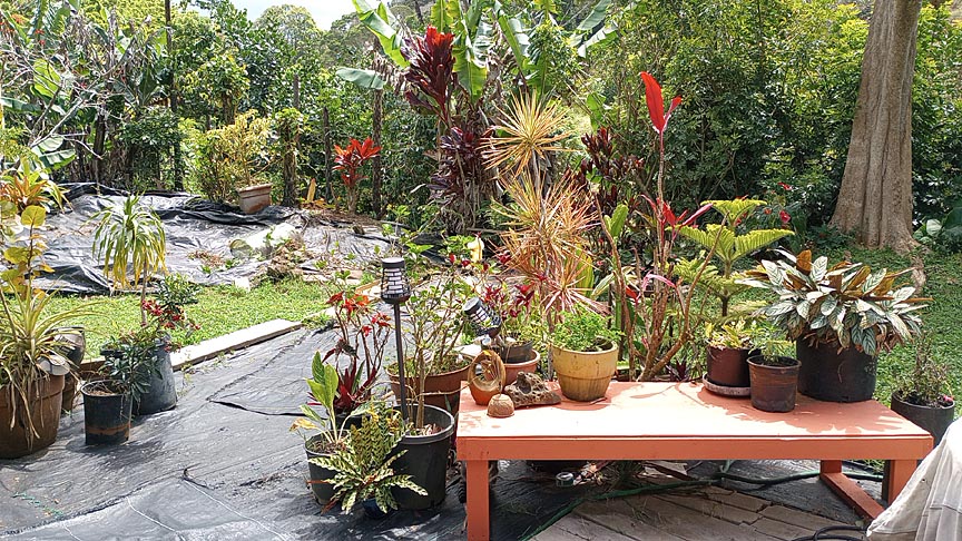 orange table outside with plants on top and green trees in back