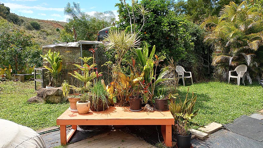 orange table outside with plants on top and green trees in back