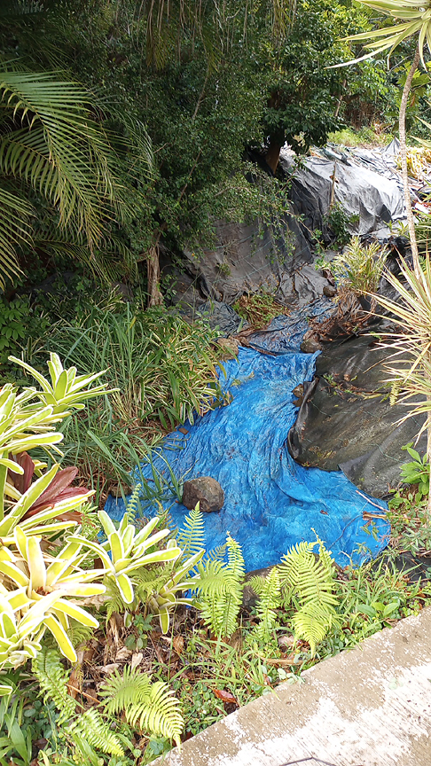 blue tarp on stream bed with green plants all around