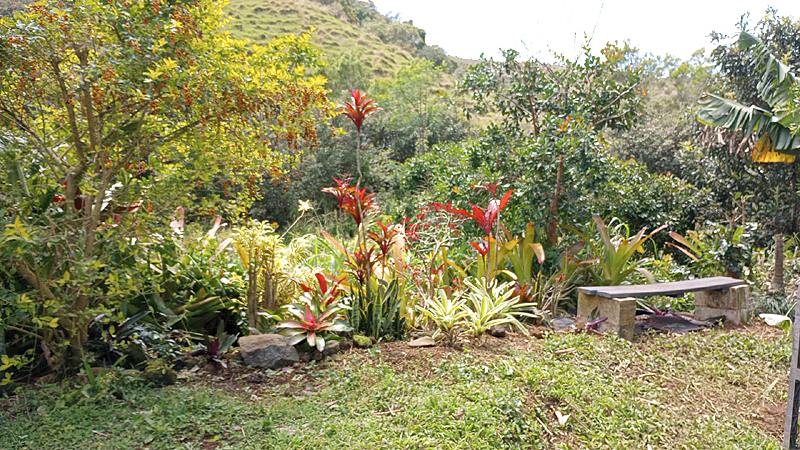 black bench on concrete blocks by green plants and red tis