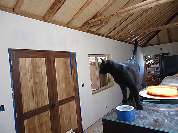 inside bamboo house with black cat appearing huge looking to doors