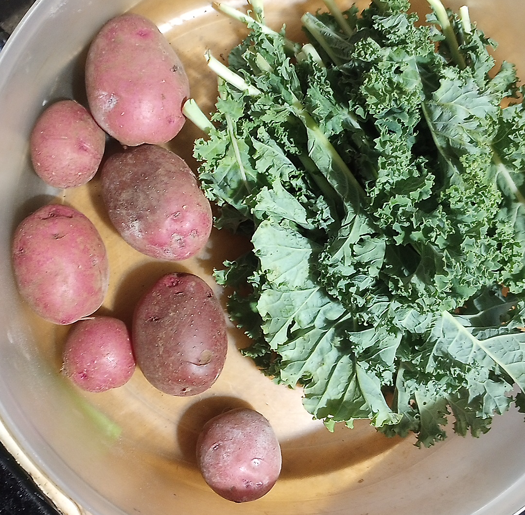 bowl with several potatoes and kale
