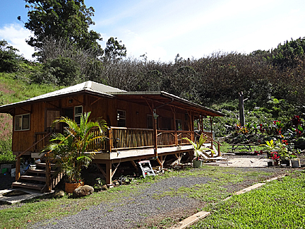 bamboo house with trees in back and one large trunk with no branches